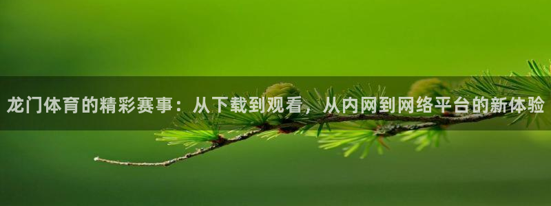 龙门体育的精彩赛事：从下载到观看，从内网到网络平台的新体验